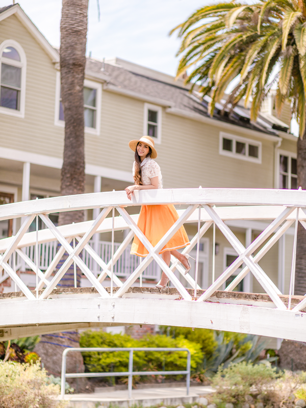 Daisies and Orange Sherbet