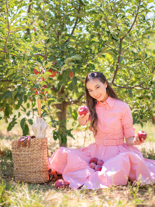 It’s Apple Picking Season!