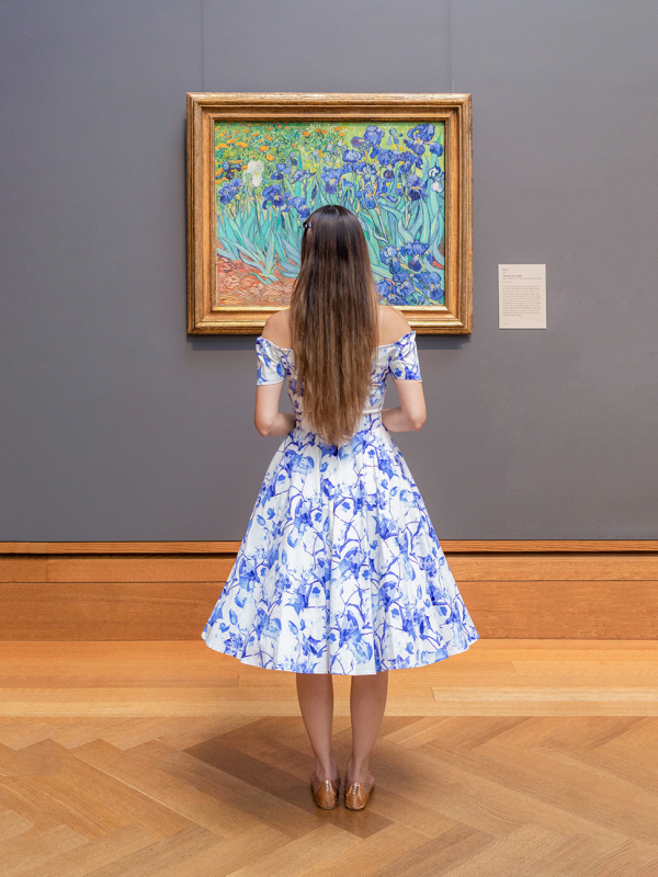 Blue Floral Off the Shoulder 50s Dress