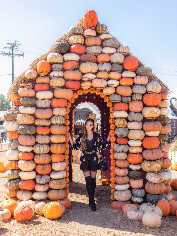 Spooky Sweater Dress Cardigan