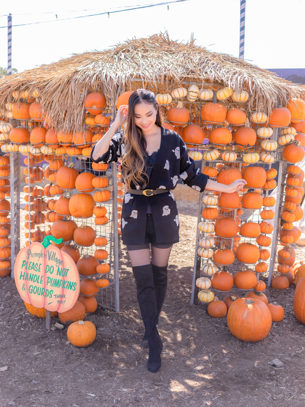 Spooky Sweater Dress Cardigan