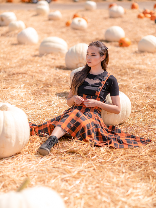 Bat Crazy for Orange Plaid