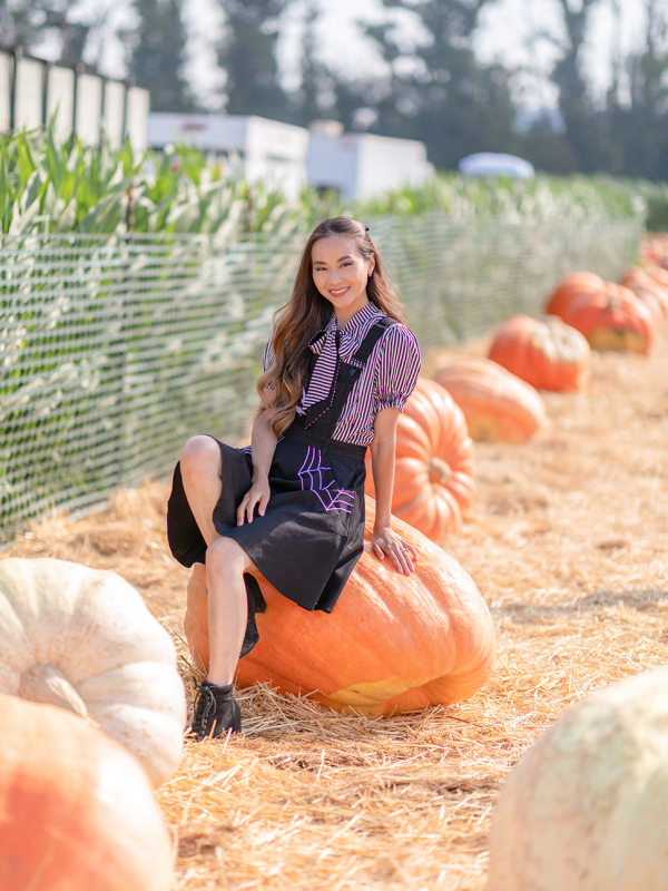 Striped Blouse and Spooky Pinafore