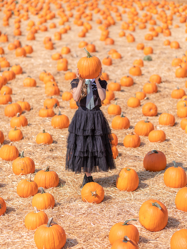 Do You Prefer Tricks or Treats?