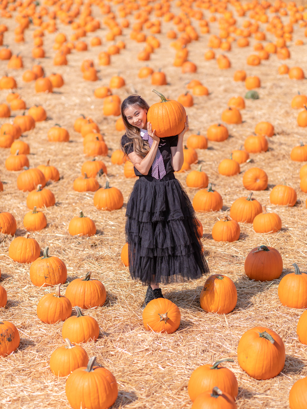 Do You Prefer Tricks or Treats?