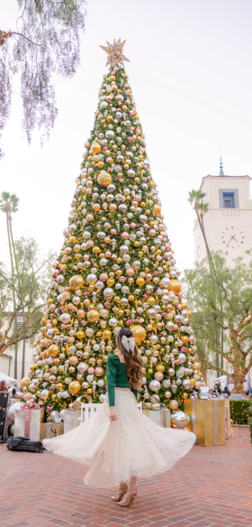 The Perfect Outfit for Your Next Holiday Party