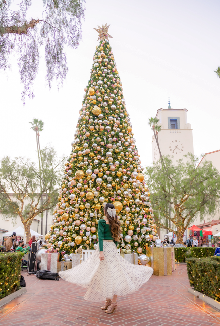 The Perfect Outfit for Your Next Holiday Party