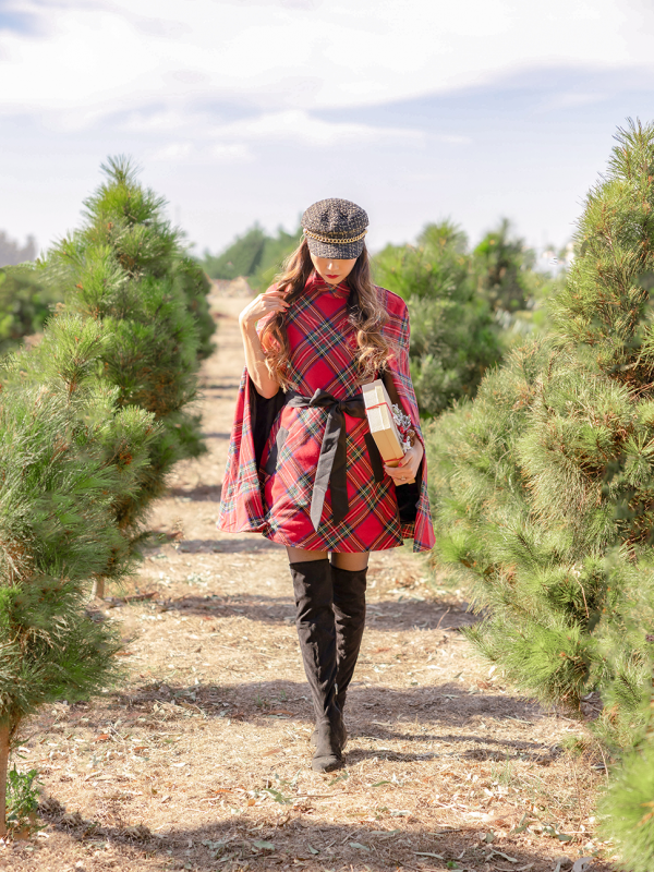 Wrapped Up Like a Present With Nowhere to Go