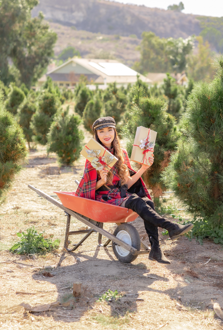 Wrapped Up Like a Present With Nowhere to Go