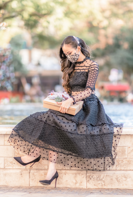 Black Sheer Polka Dot Mesh Dress