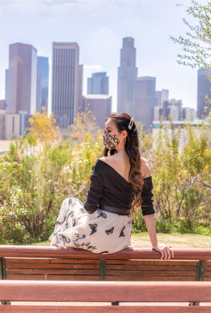 Butterfly in the Sky..line