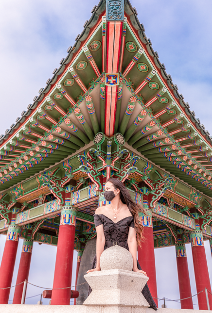 Sophisticated Black Jacquard 50s Dress