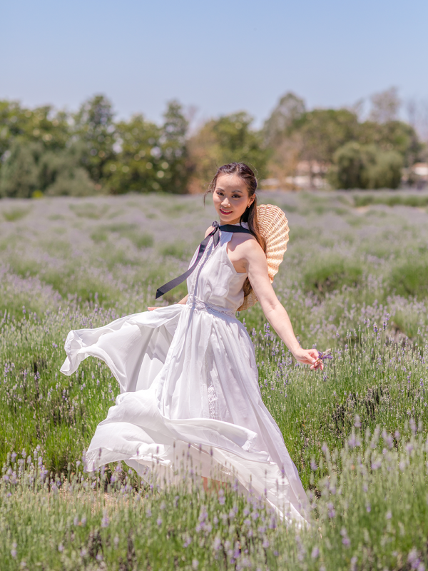 Chiffon Halter Maxi Dress