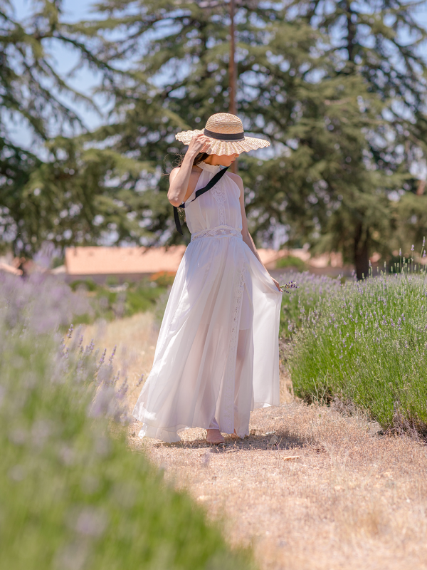 Chiffon Halter Maxi Dress