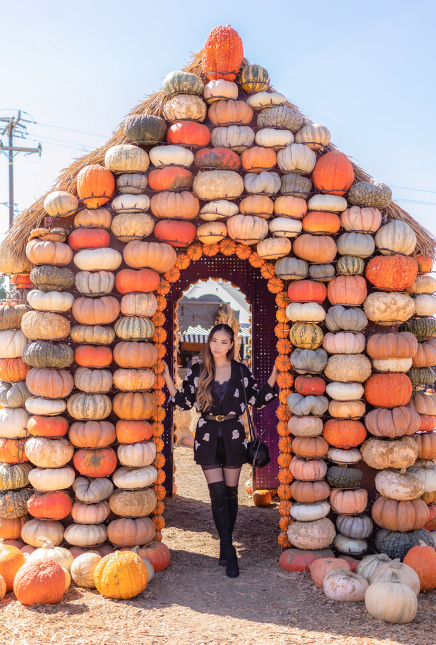 Spooky Sweater Dress Cardigan