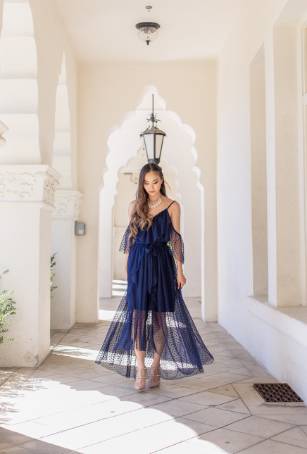 Polka Dot Navy Mesh Maxi