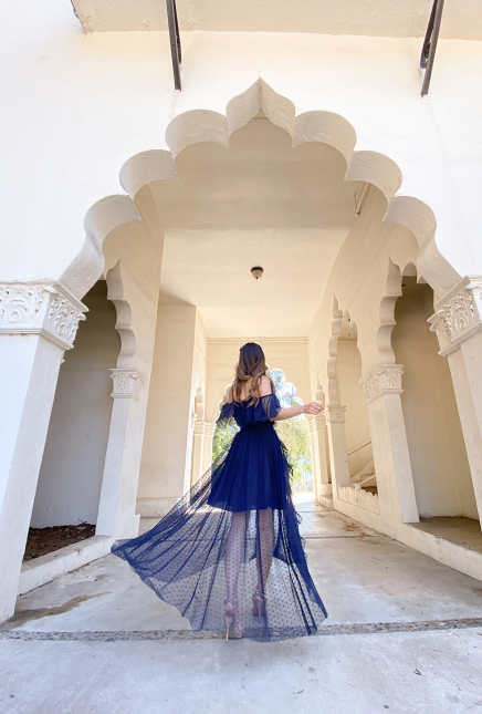 Polka Dot Navy Mesh Maxi