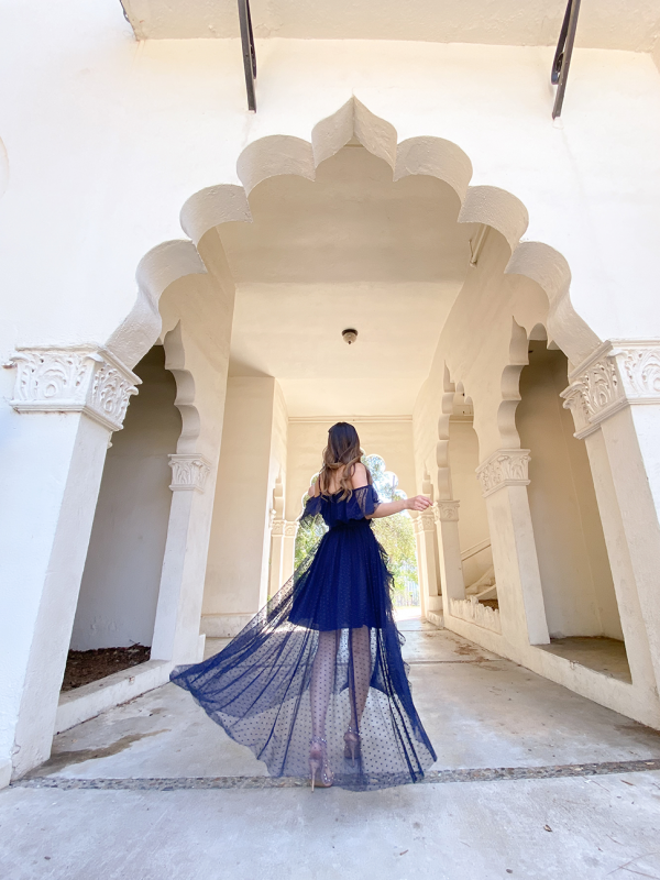 Polka Dot Navy Mesh Maxi