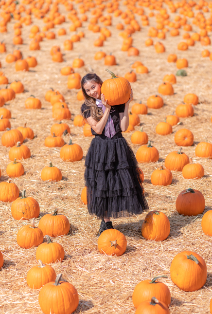 Do You Prefer Tricks or Treats?