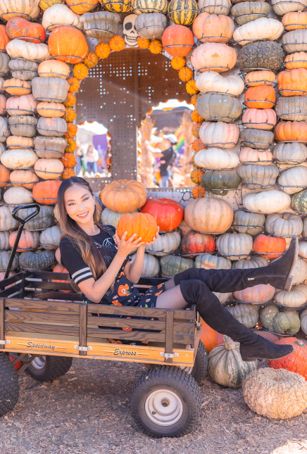 Pumpkins and Spiders and Mice, oh my!